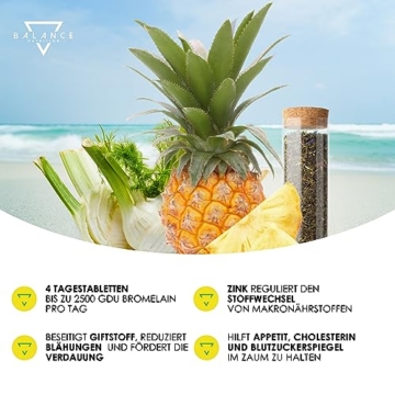 BROMELIFT® Bromelain 2500 GDU/g (DETOX DRAINAGE DIÄT ENTHALTEN) - 120 TABLETTEN | Bromelain Hochdosiert | 5,000 FIP high dose | Bromelain Kapseln, Detox Kur, mit Fenchel, Grüner Tee, Vegan - 5